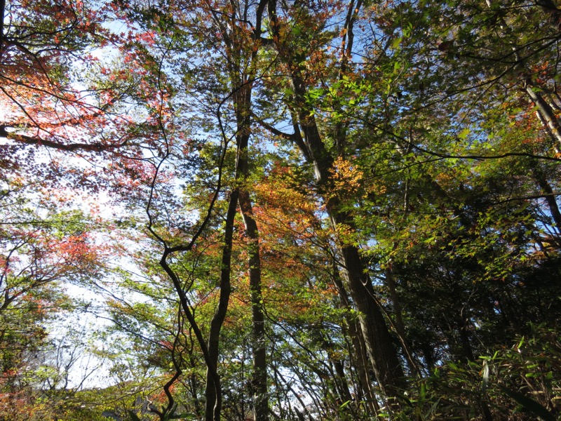 奥久慈・男体山